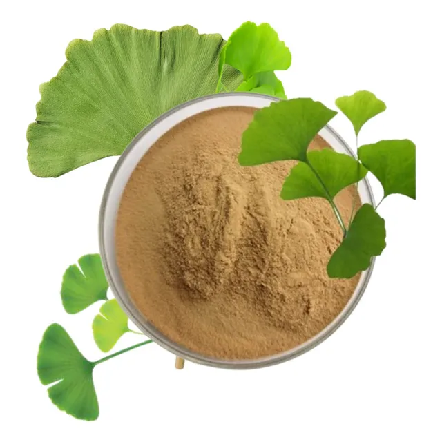 Ginkgo Biloba  Extracto Atomizado Polvo Pura 500 Gramos