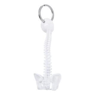 Chaveiro Spine Model Chaveiro Em Miniatura Para Mulheres Chaveiro Spine Model Chaveiro Em Miniatura Para Mulheres