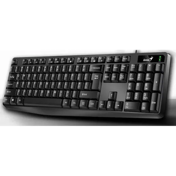 Teclado Genius Usb Kb-117 Classic Qwerty.