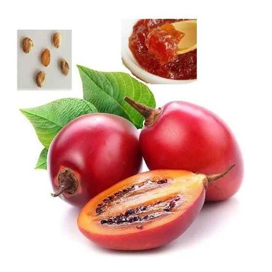 Semillas Tomate De Arbol Tamarillo/ 40 Semillas