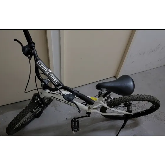 Bicicleta Aro 20 Freestyle