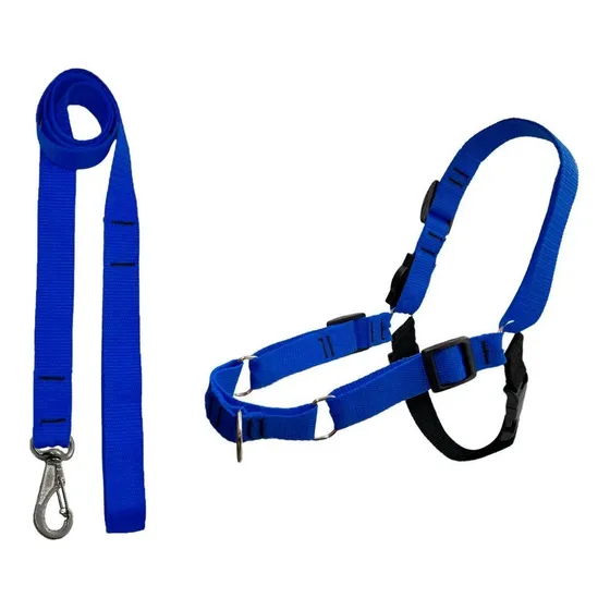 Peitoral Para Adestramento Cachorro Porte Anti Puxão Educar Cor Azul Tamanho Da Coleira G