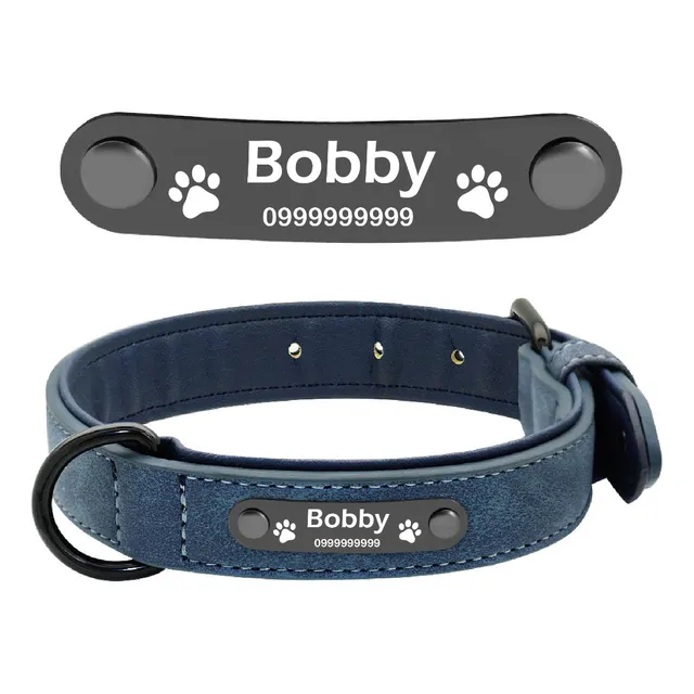 Collar De Perro Gato Personalizado Mascota Todas Las Tallas