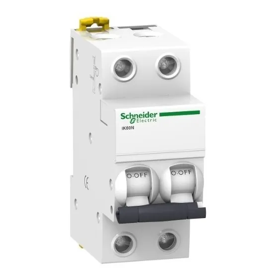 Termica Bipolar 2x25a Schneider Ik60n