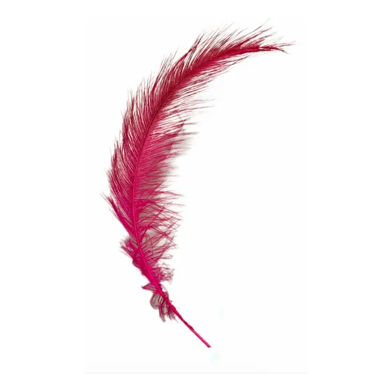 Plumas De Colores +40cm (pack 10un.)