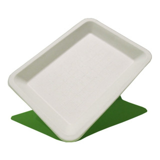 Plato Biodegradable Rectangular De Papel 26x21cm 50 Piezas Plato Biodegradable Rectangular De Papel 26x21cm 50 Piezas