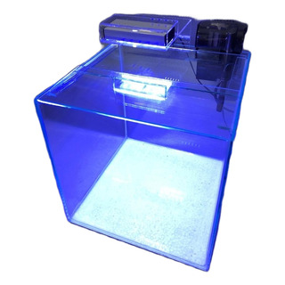 AquĂĄrio Cubo Clean 15lt Bd-2525 C/ Filtro E LuminĂĄria 110v AquĂĄrio Cubo Clean 15lt Bd-2525 C/ Filtro E LuminĂĄria 110v