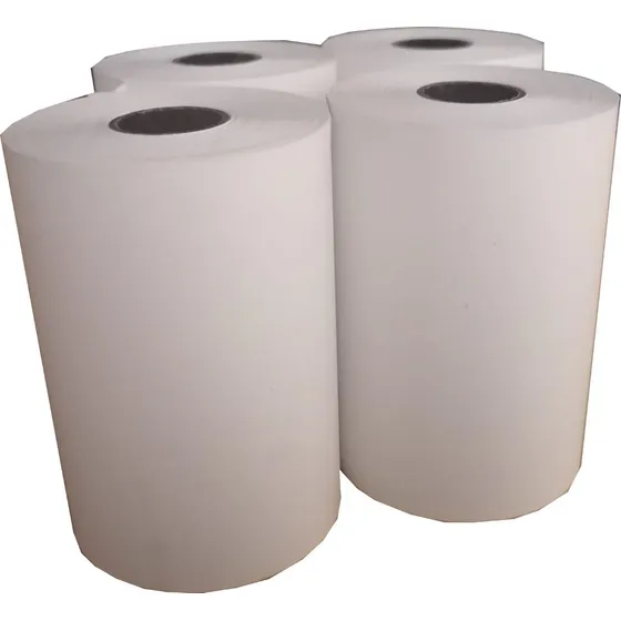 Rollos Termico Para Pos - 10 Rollos