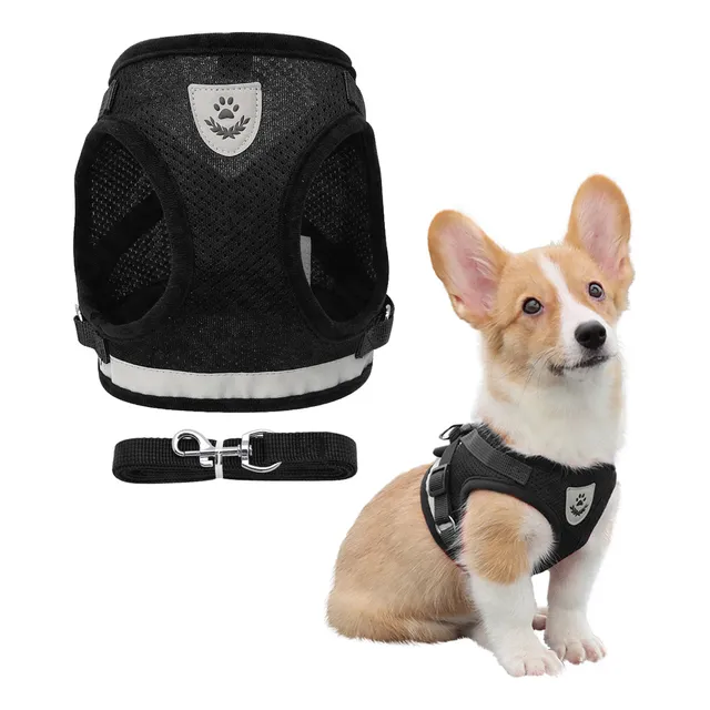 Pretal Arnes Para Perros Pequeños Paseo Viaje Correa 1.13mts