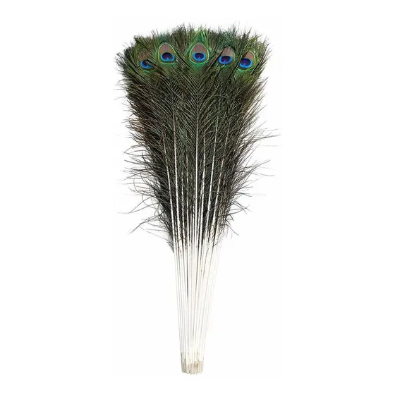 Ballinger Pluma Pavo Real Larga Natural  In Para Fiesta