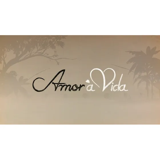 Dvd Novela Amor À Vida Em Hd Com Menu Frete Grátis