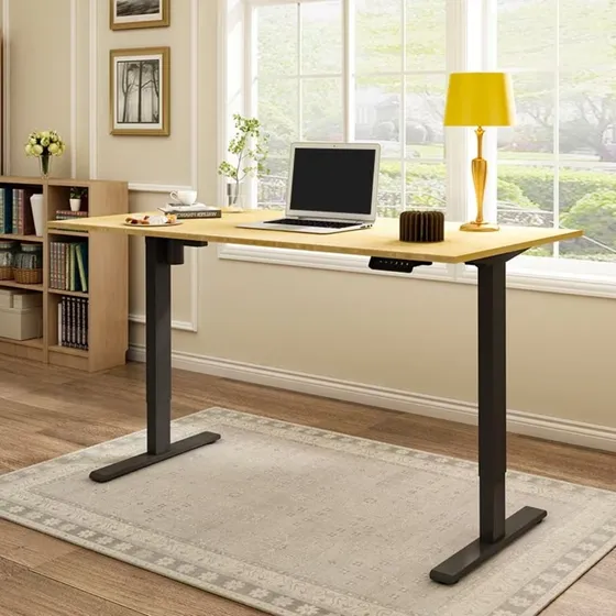 Standing Desk Frame | Escritorio Electrico | Estructura
