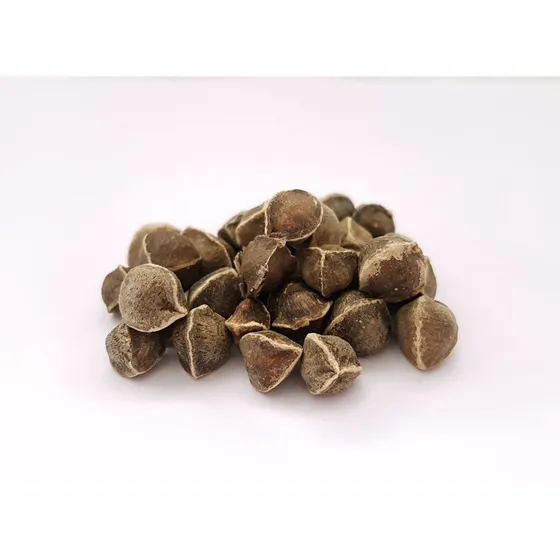 Semillas De Moringa Mas De 1000 Semillas