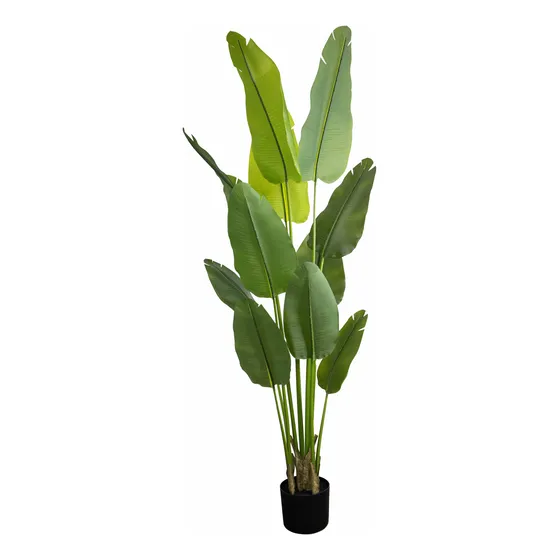 Planta Artificial Strelitzia Ave Del Paraíso 220cm Premium