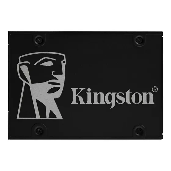 interno Kingston SKC600/256G 256GB preto