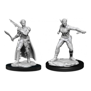 D&d Nolzurs Marvelous Miniatures Female Shifter Rogue D&d Nolzurs Marvelous Miniatures Female Shifter Rogue