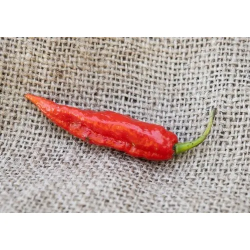 Ghost Pepper Naga Jolokia De La Herencia Pimienta Semillas D