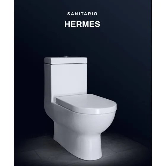 Sanitario Hermes Blanco 76x72x36