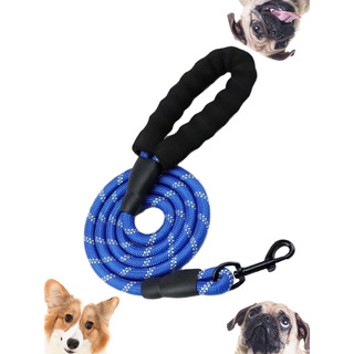 Correa Para Perro Grande Resistente Correa De Cuerda 3 M Correa Para Perro Grande Resistente Correa De Cuerda 3 M