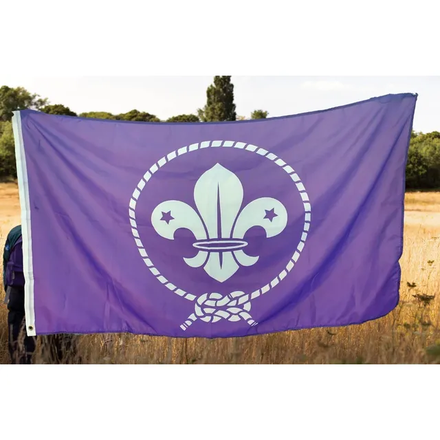 Bandera Scout Mundial 