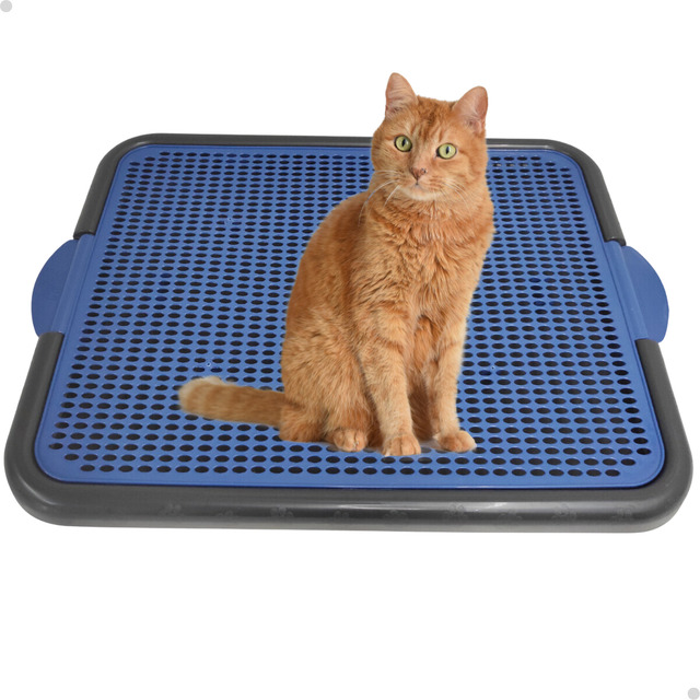 Bandeja Coletora De Areia Para Gato Tapete Coletor Gato 55cm Bandeja Coletora De Areia Para Gato Tapete Coletor Gato 55cm