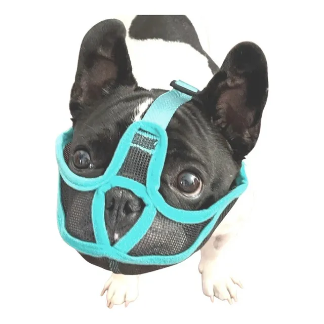Bozal Para Perros Braquicéfalos De Bulldog Francés