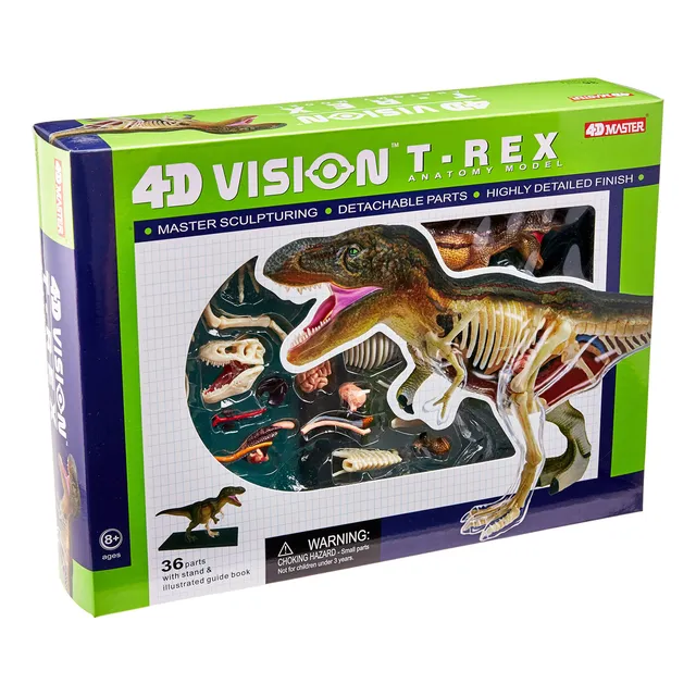 Famemaster 4d Vision T-rex Anatomia Modelo