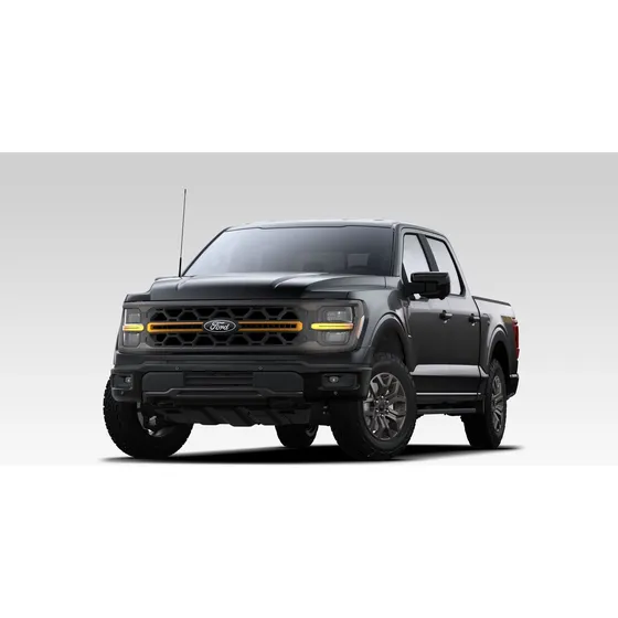 Ford F-150 5.0l V8 Tremor 4x4 At