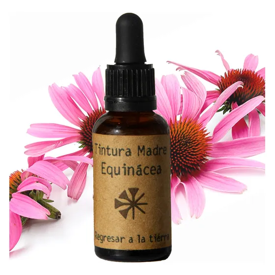 Tintura Madre Equinácia 50ml | Tónica Herbal Floral
