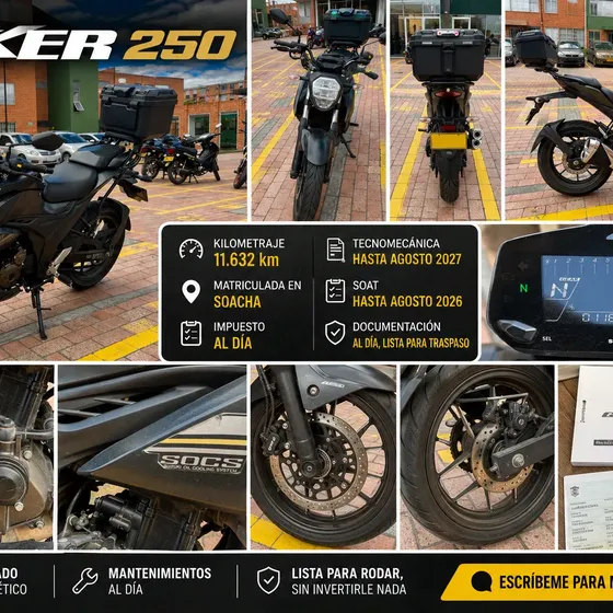 Suzuki Gixxer 250