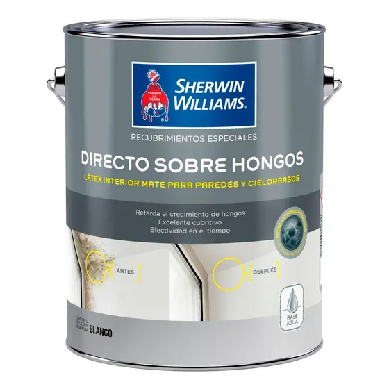 Latex Interior Directo Sobre Hongo Sherwin 1 Lt Rex