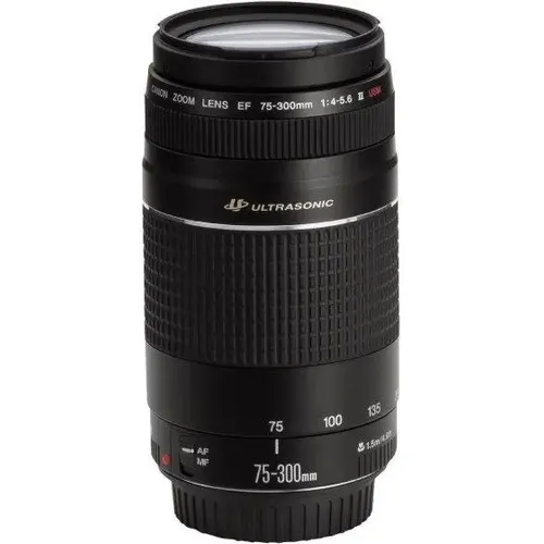 Lente Canon EF 75-300 mm F/4-5,6 Iii | Frete grátis