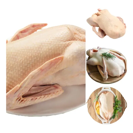 Carne De Pato