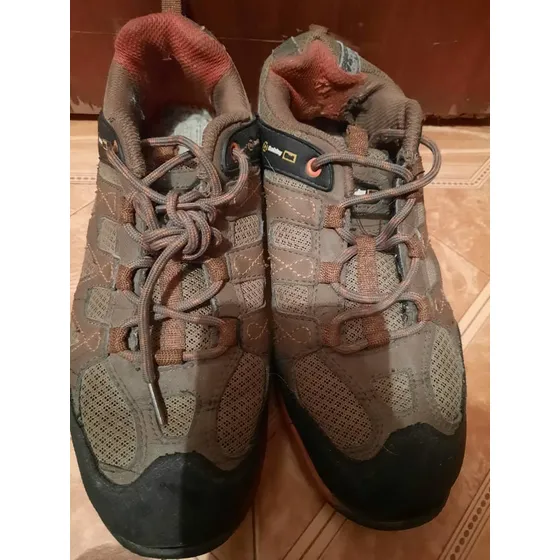Zapatos Bobby Cats Usados Talla 38