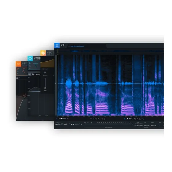 Izotope Elements Suite V6 Edu Oferta Software Msi