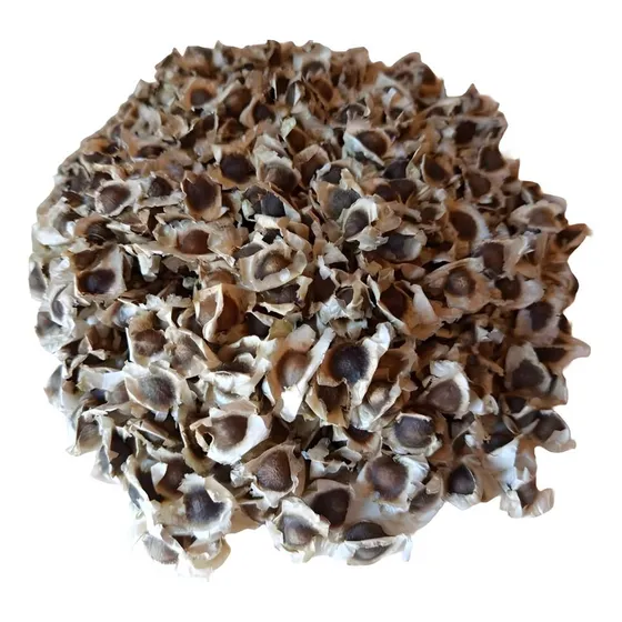 1.000 Semente De Moringa Premium Altissima Germinação
