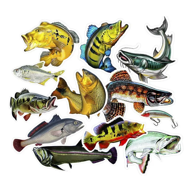 Adesivos Especíe De Peixe Pescaria Esportiva Pescador Barco