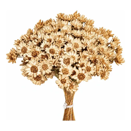 Sempre Viva Florzinha Branca I Flores Desidratadas