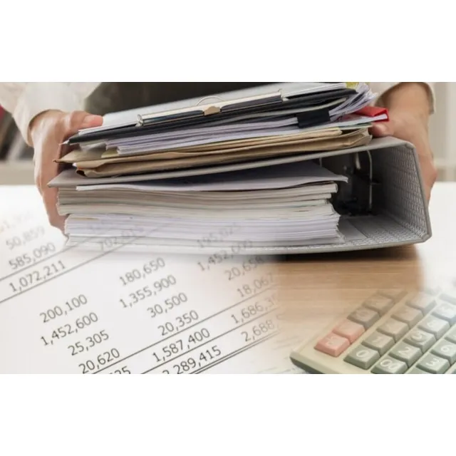 Contador Público Contabilidad Auditoria Rnc Snc Ivss