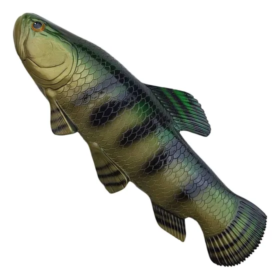 Peixe Traíra De Parede 51 Cm Com Gancho Para Decoração