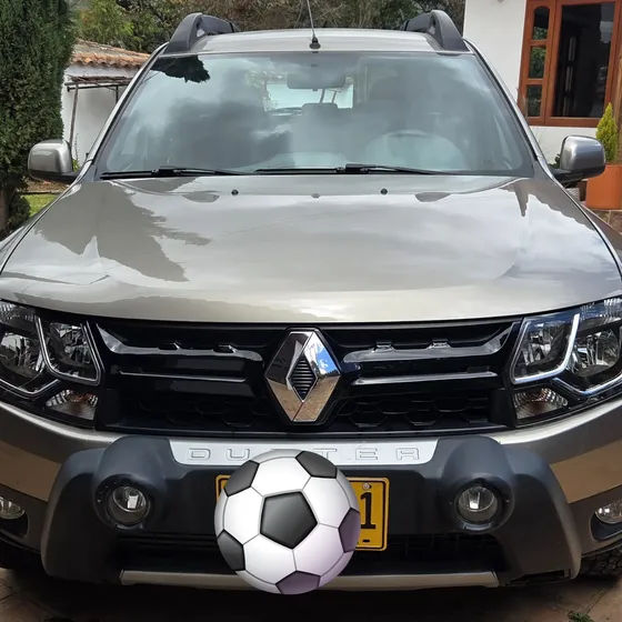 Renault Duster 2019 2.0 Dynamique 4x2