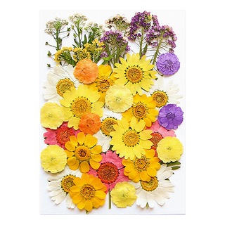 Nuevo Kit De Resina De Flores Secas E Impresas For Velas Y Nuevo Kit De Resina De Flores Secas E Impresas For Velas Y