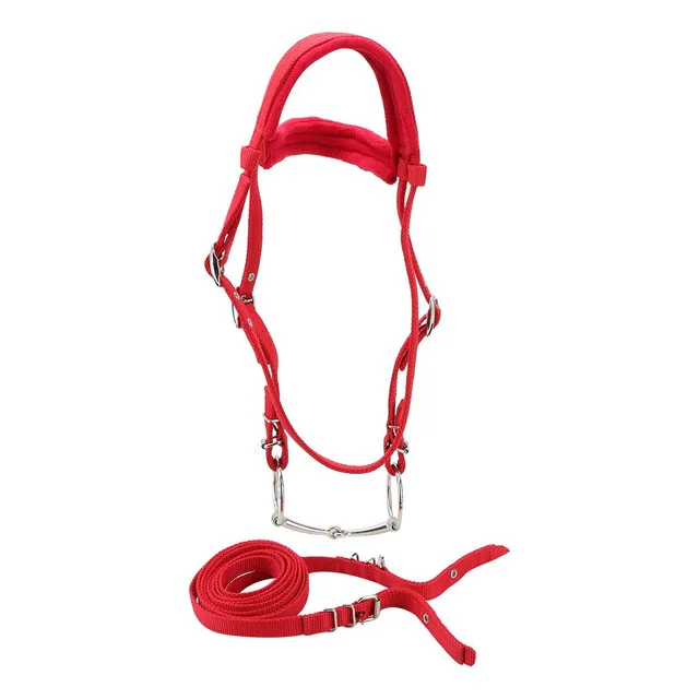 Brida Caballo Color Rojo Ajustable Arne Rienda Accesorio
