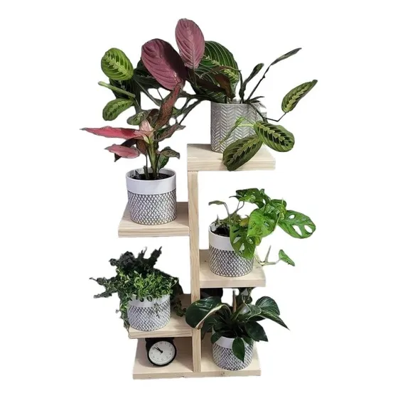 Repisa Para Plantas En Acabado Rustico