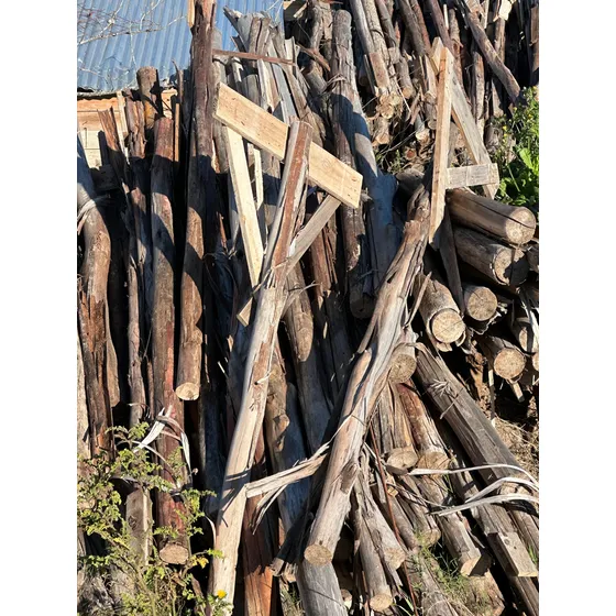 Puntales De Madera