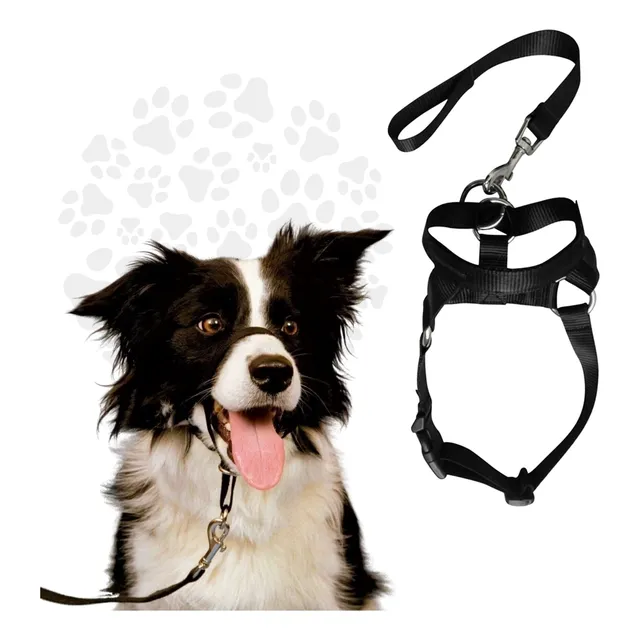 Collar Bozal De Entrenamiento Halti Para Perros Anti Jalones