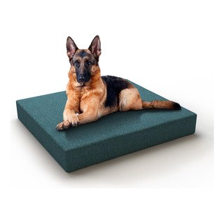 Cama De Memory Foam Medida Especial Cama De Memory Foam Medida Especial