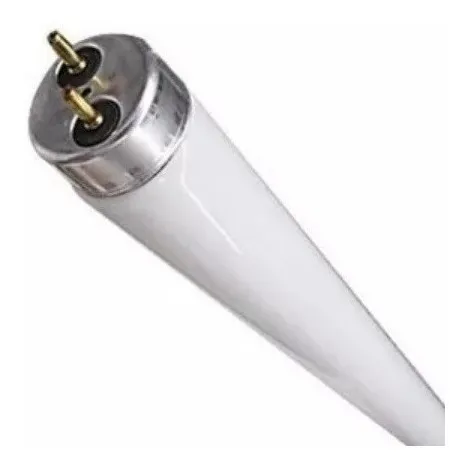 Bombillos Fluorescente Prolight F32 T8 Nuevos