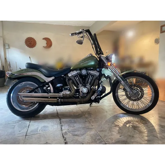Harley Davidson Softail Custom    2009 