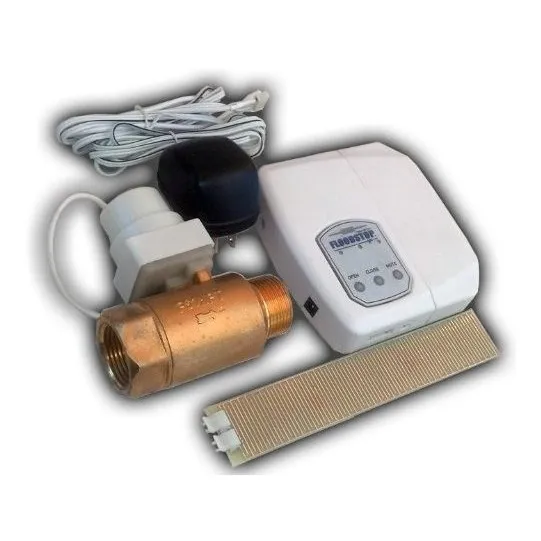 Nuevo Para Calentador Agua Casa Entera Fs 1.00 Npt V4